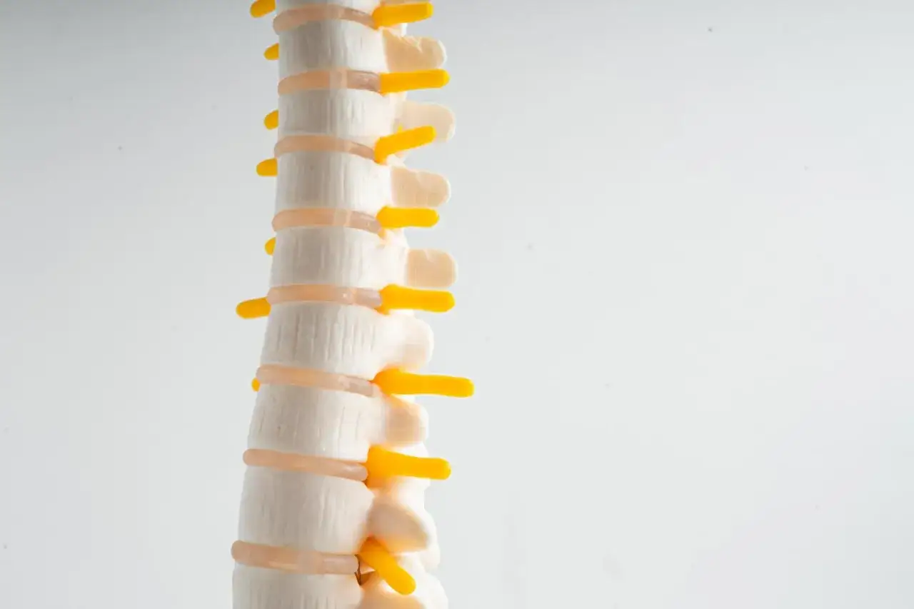 Jak nawodnić krążki międzykręgowe? Sprawdź, co naprawdę działa