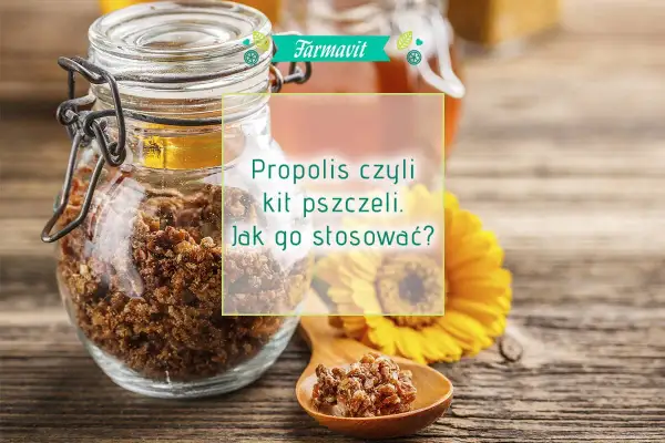 Propolis: Jak bezpiecznie stosować? Dawkowanie i formy dla każdego