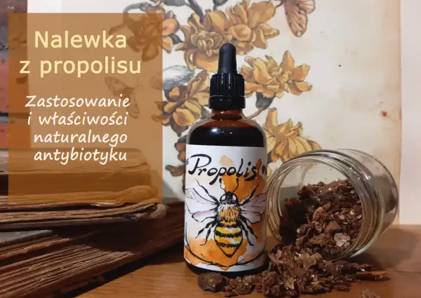 Nalewka propolisowa: Bezpieczne dawkowanie, zasady i przeciwwskazania